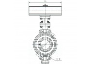 国产成人精品白浆久久69